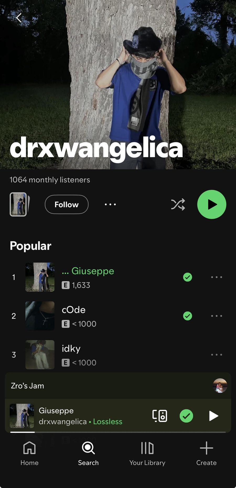 Spotify artist profile for drxwangelica showing 1,006 monthly listeners